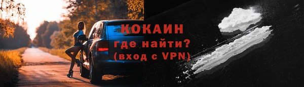 дживик Магас