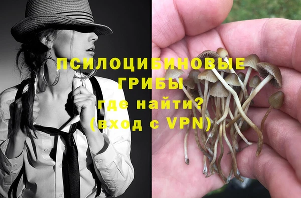 твердый Майский