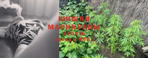 амф Магадан