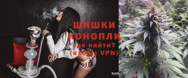 спиды Медвежьегорск