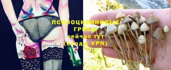 твердый Майский
