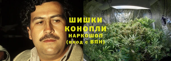 ECSTASY Мегион