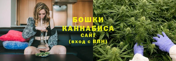 твердый Майский