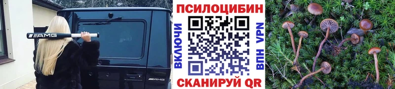 Псилоцибиновые грибы ЛСД  Ухта 