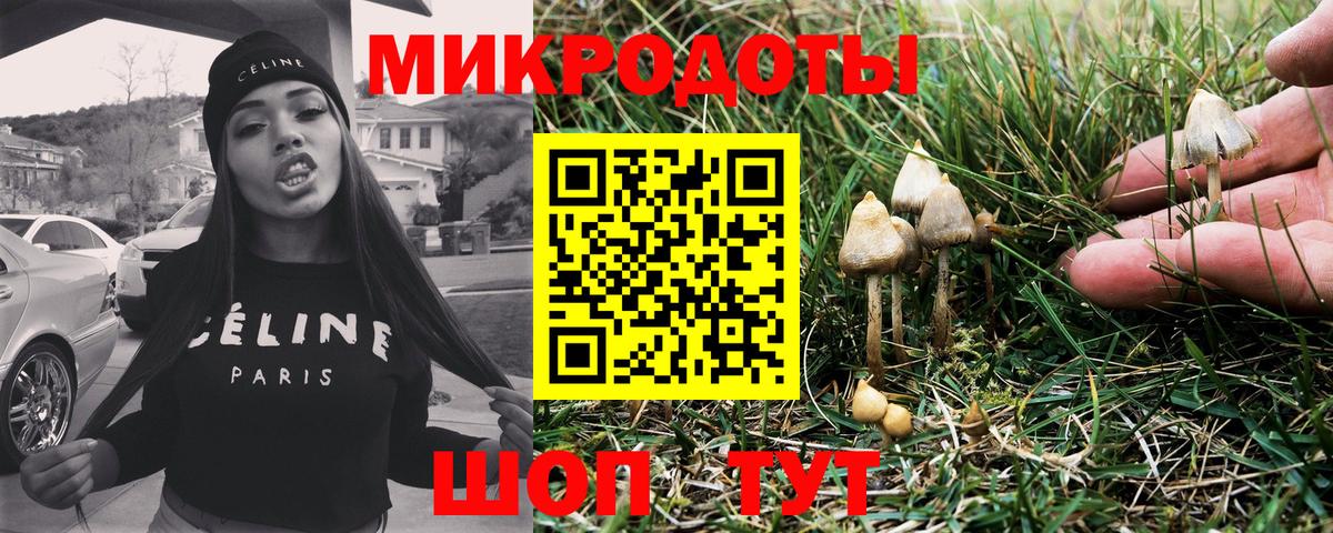 Галлюциногенные грибы Psilocybe Ухта